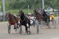 Fieracavalli, ippica ritorna in grande stile con  Forum internazionale